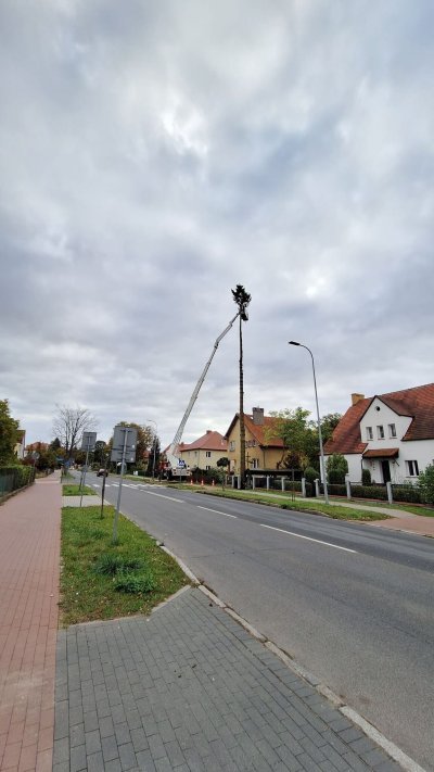 puh-borkowski (34)